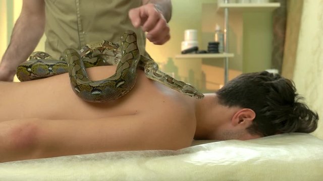 Health treatmant with snakes massage. Young man receiving exotic therapeutic procedure with reptiles. Animal therapy for stress relief.