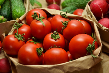 Fresh vegetables from farmers market. Cucumbers, tomatoes, radish. Pickle cucumbers. Organic vegetables. Salad ingredients.