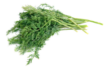 Close up view of bunch of fresh green dill