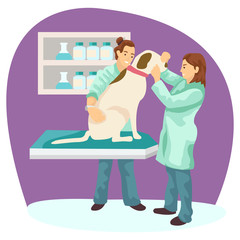 A very cute dog is being examined by a veterinarian at a hospital