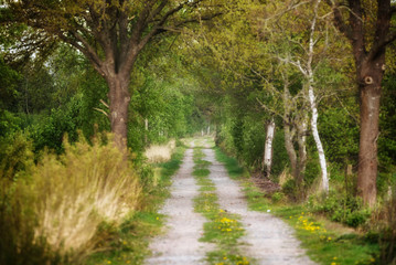 Fototapeta premium Wege in Norddeutschland
