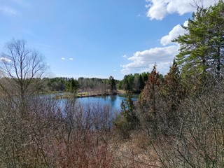 view of the pond through shrubs and trees on a sunny day against a blue sky with clouds