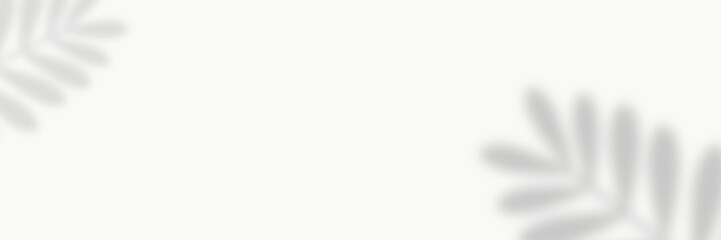 Abstract white background and shadow of a leaf of a tropical plant. Can be used as wallpaper or background. Banner. Flat lay, top view