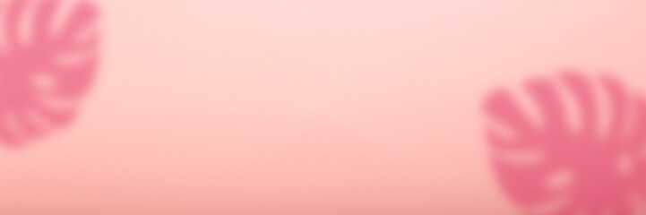 Abstract pink background and shadow of tropical monstera plant. Can be used as wallpaper or background. Banner. Flat lay, top view