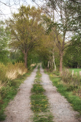Wege in Norddeutschland