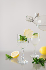 Mineral water with fresh mint and lemon. Glass of sparkling drink with fruits and herbs. Healthy drink