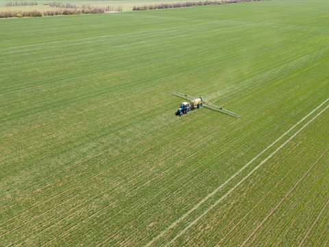 Agricultural tractor sprays the crop field with chemicals. Aerial drone photo.