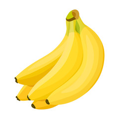 Bunch banana vector icon.Cartoon vector icon isolated on white background bunch banana.