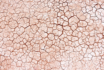 Fototapeta Seamless dry soil cracked texture background obraz