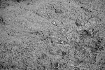 dry river