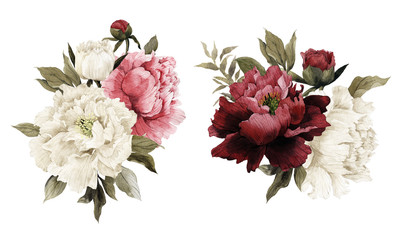 Bouquets of peonies, watercolor, can be used as greeting card, invitation card for wedding, birthday and other holiday and  summer background.