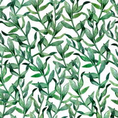 Green seamless pattern from on a white background. Seamless pattern of watercolor eucalyptus twigs. Colorful botanical print with leaves. Pattern for wallpaper, postcards, textiles. Summer print.