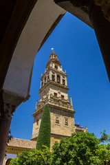 Naklejka premium Arch and bell tower of the mosque cathedral in Cordoba, Spain