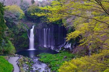 白糸の滝