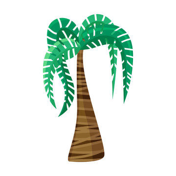 Palm tree vector icon.Cartoon vector icon isolated on white background palm tree.