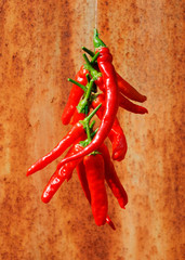 A string of long red hot chilli peppers against a rusted metal background
