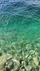 Wasser See Leben Grün Grüne Wasser