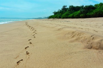 footprints on the beach