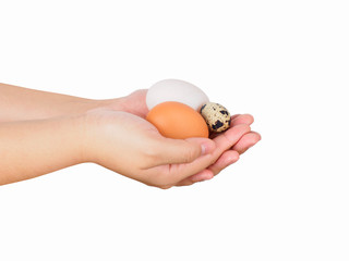 Characteristic of three type eggs: chicken egg, duck egg, and quail egg on woman's hand.