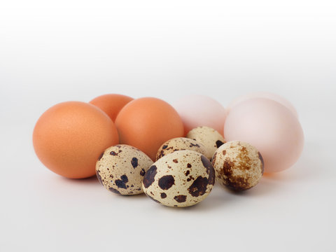 Characteristic of three type eggs: chicken egg, duck egg, and quail egg on white background.