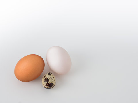 Characteristic of three type eggs: chicken egg, duck egg, and quail egg on white background.