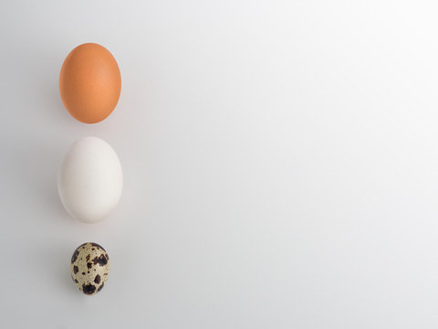 Characteristic of three type eggs: chicken egg, duck egg, and quail egg on white background.