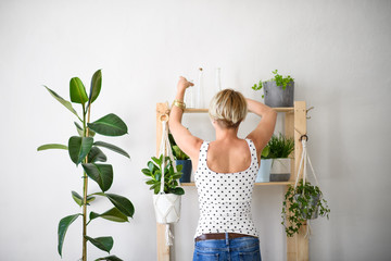 Rear view of young woman indoors at home, arranging plants on shelf.