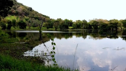 lake in the forest