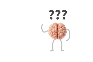 Complicated riddle. Confused human brain with question over his head isolated on white background.