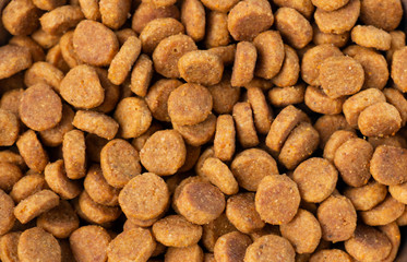 round dry cat meat feed
