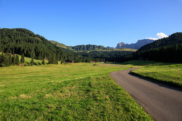Fototapeta na wymiar Saltria, Alpe di Siusi
