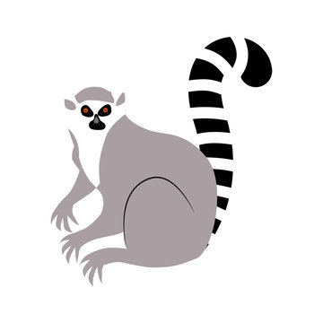 Lemur. Vector illustration of an animal. Flat style.