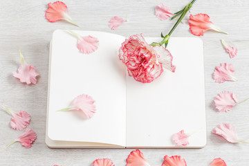 Bright, beautiful and fragrant carnations