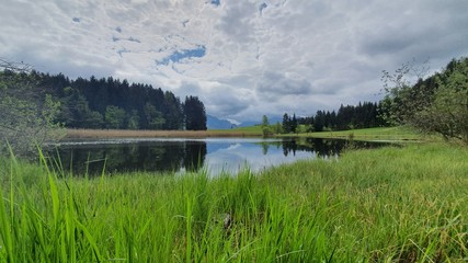 Natur Wald Landschaft Leben Gedeihen 