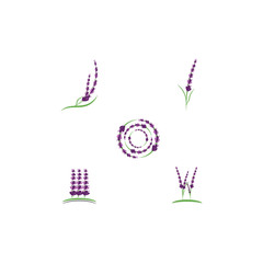 Set Lavender Logo Template vector