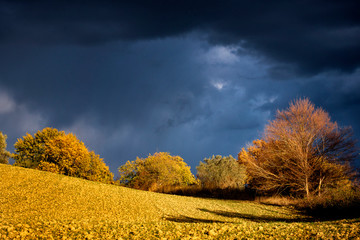 Tuscan hills in autumn in the light of an oncoming storm. Tuscany, Italy