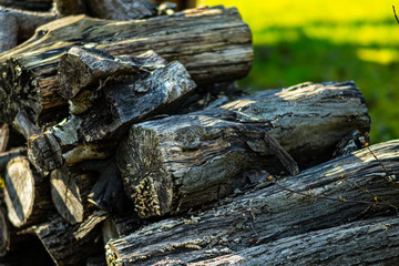 stack of firewood