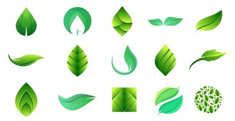 Set of Leaf icon design