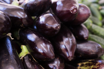 Fresh eggplant on market counter