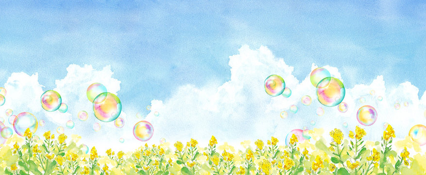 菜の花畑 Images Browse 178 Stock Photos Vectors And Video Adobe Stock