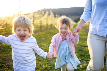 Two small children with mother running outdoors in orchard in spring.