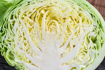 Texture of longitudinal section of the young white cabbage heads