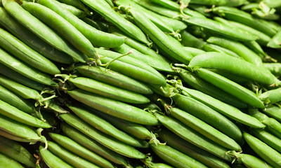 green fava beans in pods on counter in market