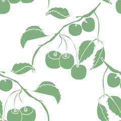 Sketch cherry.Cherry  seamless pattern.Image on a white and color background.