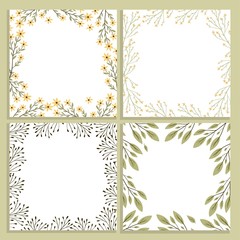 Vector frame botanic. Wildflowers, herbs, leaf.