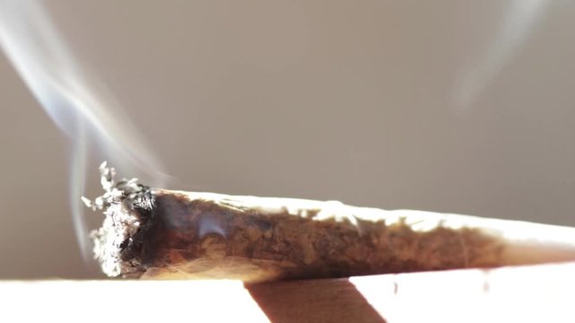 Macro shot detail of marijuana joint slowly burning down. Ash, smoke on light background