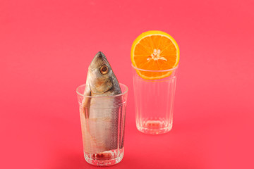 salted herring and orange in a cut glass on a bright background