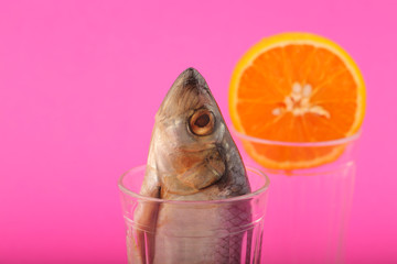 salted herring and orange in a cut glass on a bright background