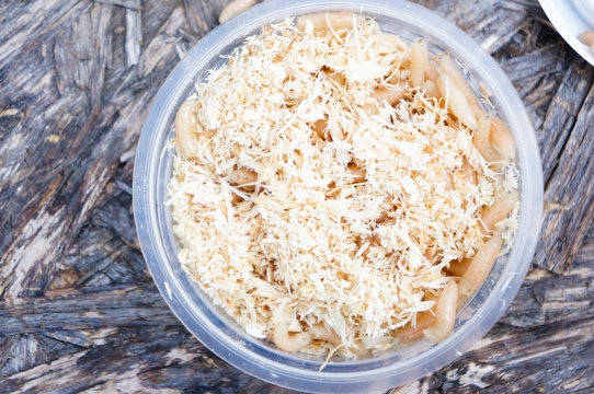 maggots in sawdust boxes - a good bait for fishing, close-up