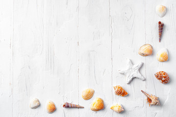 White rough wooden background with sea shells, copy space